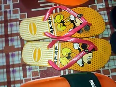 all havs and slides collection.