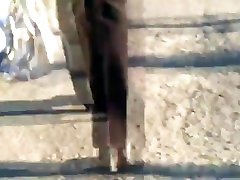 lechones culo grande en dakota skyr cum negros