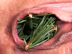 QueenSnake - Poor Christmas Tree