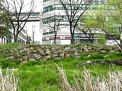 Korean ashlann brook Scene 317