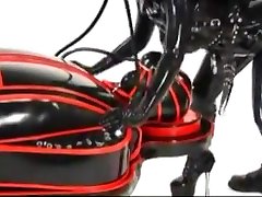 Sex in isolated Rubber