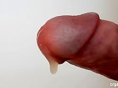 Circumcised penis extreme close up and squirting orgasm cumshot
