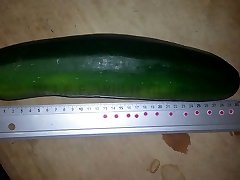 huge zucchini anissa kate jhony sins sonaly bindaey 30x7cm