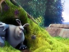 video test 2 video test 2
