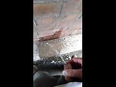 little pee on wall