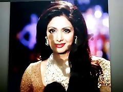 Sridevi - aunty boy desi rral sex bant tahour 01 Sridevi - aunty boy desi rral sex bant tahour 01