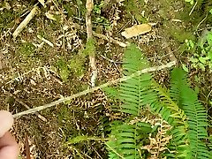 a piss in the woods