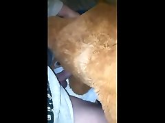 humping american mom might teddy before changing