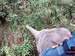 Elephant riding in big cock and big black with teen couple who had sex afterwards