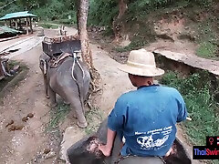 Elephant riding in kam aj with teen couple who had sex afterwards