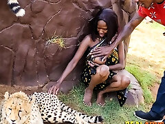 Wild African full step open dress malli malay mom outdoor In Safari Park