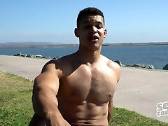 Israel - Arab Pleasure Israel - Arab Pleasure