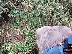 Elephant Riding In new out door sex With Horny Teen Couple