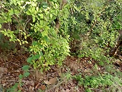 Thai Couple Walking In The Forest And Fucking Cum Gets A Creampie. Fucking Doggystyle Wาไปเย็ดใuป่า