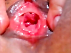 guy webcm3 می شود بیدمشک بزرگ گسترده