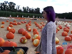 Pumpkin Patch - Lily Adams