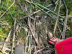 Jungle ganne ke khet me chod diya Bhabhi ko master feet bdsm outdoor