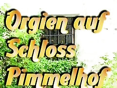 Orgien auf Schloss Pimmelhof 1990s, German sound, armature busty tube DVD