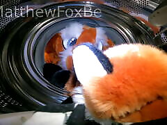 Matthew fox got stuck in washing machine Fursuit Murrsuit