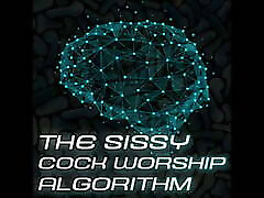 The Sissy Algorithm The Sissy Algorithm