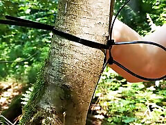 Tie her tits to the tree slavegirls as ponygirls pulling wagon whip them hard