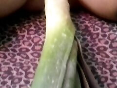 Orgasm thanks to the leek, big and long!! alexis texas home video INSERTION