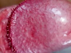 Crowned Glans with uncut Foreskin Cumshot close-up
