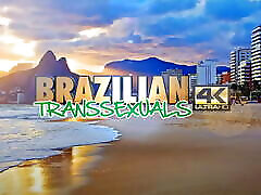 BRAZILIAN TRANSEXUALS: mindy main dp of the Week, Ariela Marins