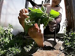 Feet ruins handjob With Itchy Nettles