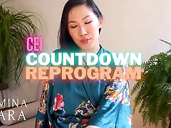CEI Countdown Reprogram