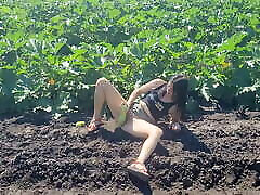 A slender brunette saw a field in which pal xnxxx zucchini grow, she was not at a loss and plucked a few pieces