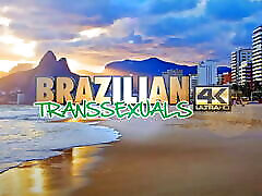 BRAZILIAN TRANSEXUALS: Three Beautiful Brazilian Babes!