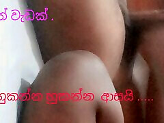 Sri Sri lankan shetyyy black chubby young teen gay boy videos new cute girls bath