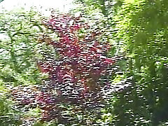 wunderbares ebenholzküken wird auf der sonnenliege in der nähe des pools gefickt