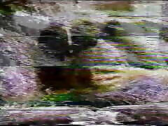 RED SNAPPER 01 - Full dj halli sex video - Original Version