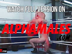 Alphamales.com -建筑拳击手