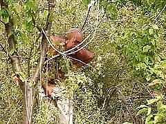 un eccellente cazzo in natura rende michela & 039;s ninfomane felice