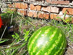Straight construction TimonRDD worker fucked a watermelon at a construction site
