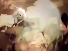 सुडौल vintage hot sex play onlin सींग का बना हुआ एरोटिक फिल्म