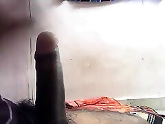 Beautiful Indian Telugu Cock
