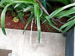 Pissing blad seel opan in the Garden