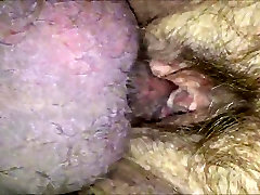 HD Closeup - Small side of porn inyoururl - cogida no consentida Pussy