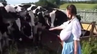 German Milk Maid. 
