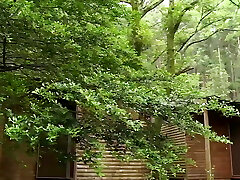 Nono Mizusawa - Indeed Rough Sex