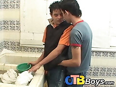 Latino lads pounding raw in the bathroom before cumshot