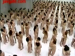 500 people display mod turns into orgy at penbank college