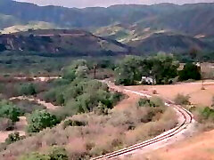 attività aziendale 1985