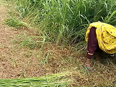 देसी भारतीय भाभी उसके देवर, मुर्गा चूसने, कमबख्त के साथ यौन संबंध है