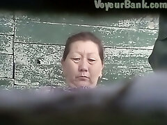 Hairy vag of a mature Asian lady in the public toilet apartment