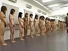 Super horny japanese honeys in extreme